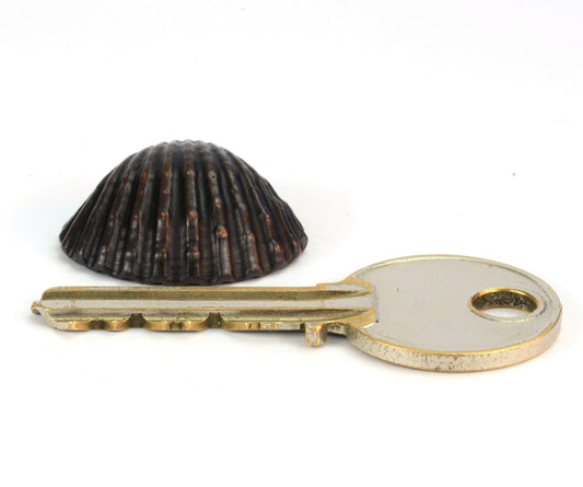Clam Shell Bronze Sculpture