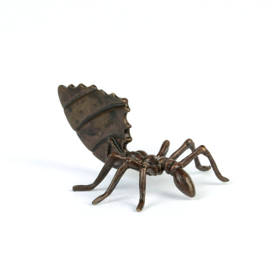 Leaf Cutter Ant