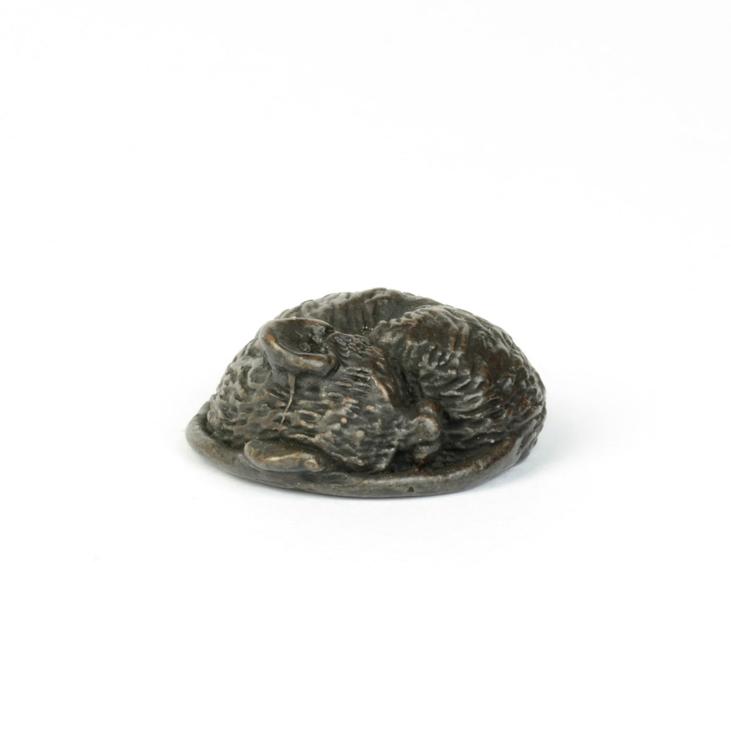 Tiny Sleeping Mouse