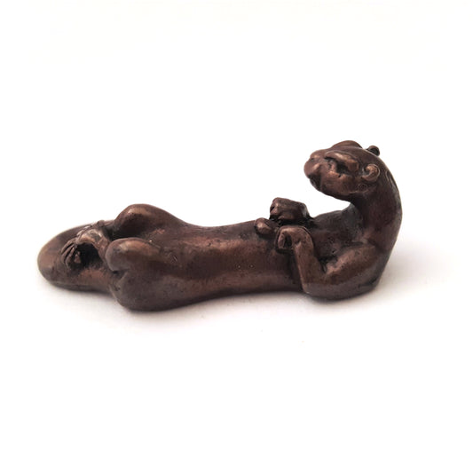 Otter Swimming on Back