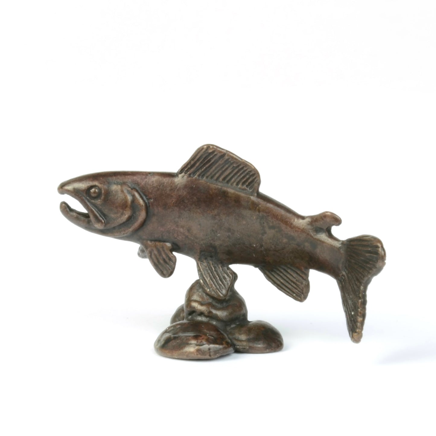Swimming Salmon