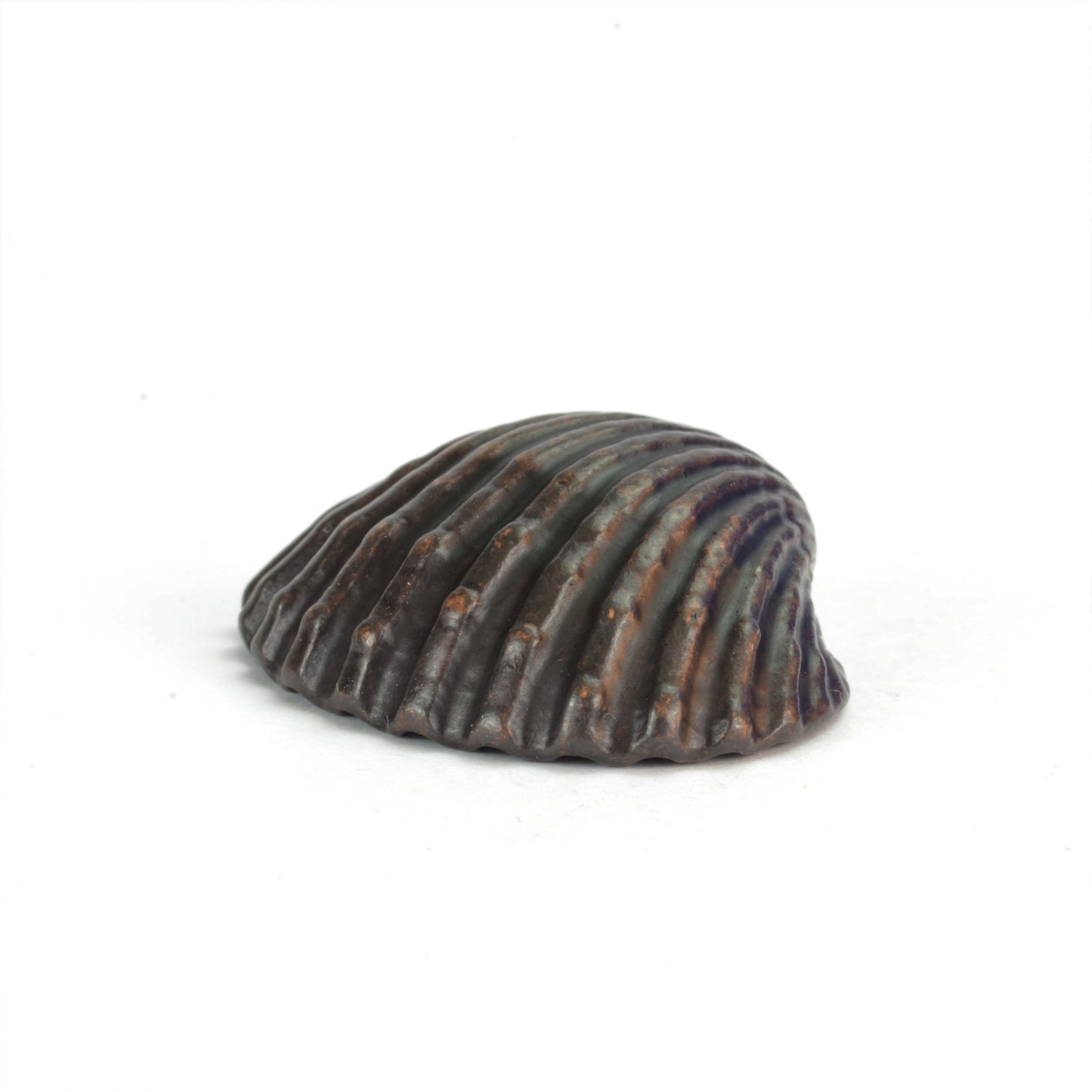 Clam Shell Bronze Sculpture