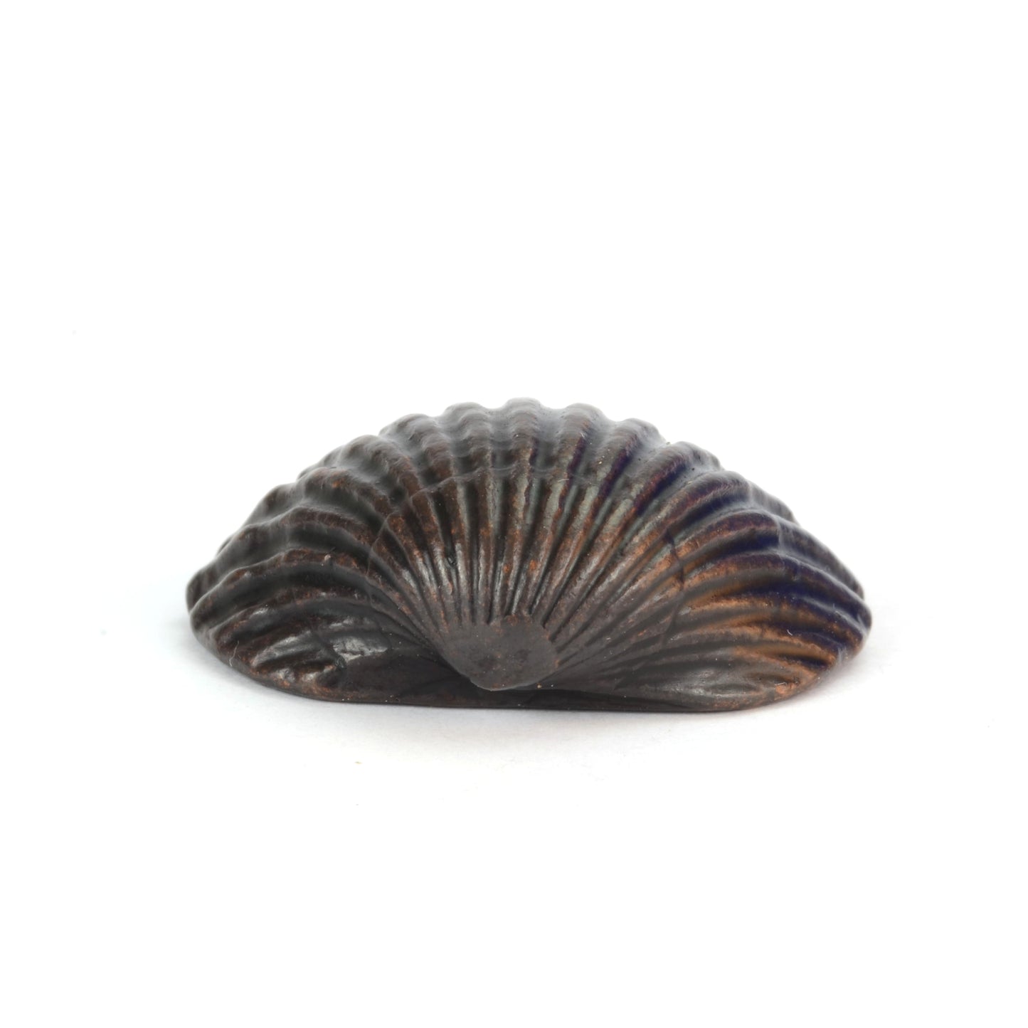 Clam Shell Bronze Sculpture