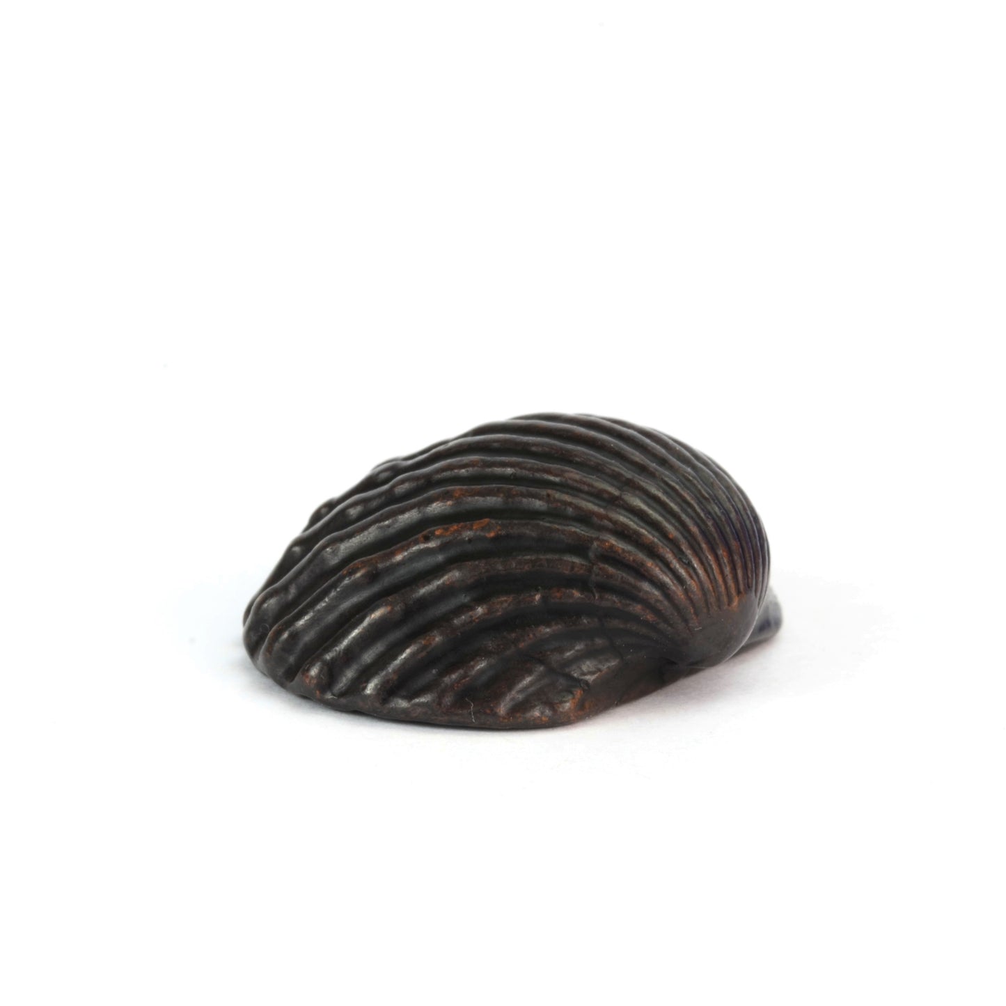 Clam Shell Bronze Sculpture