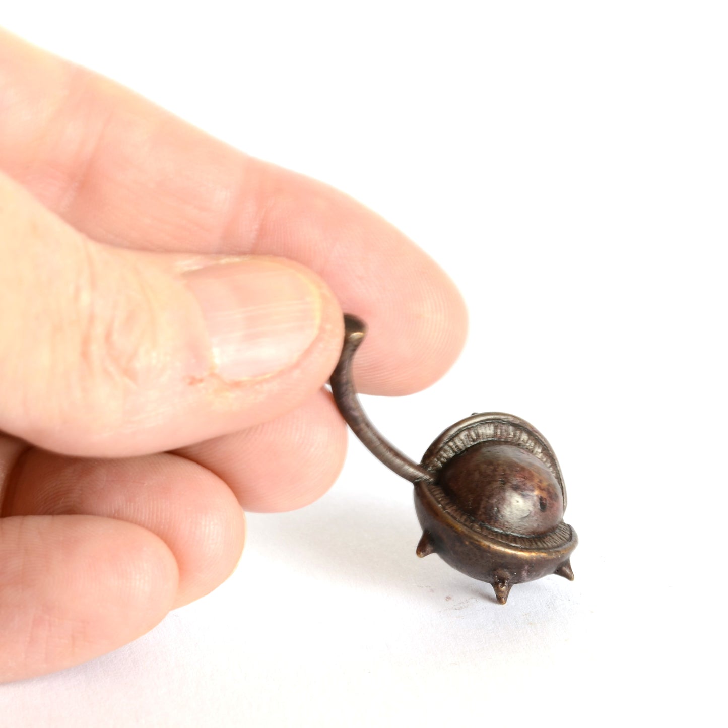 Conker in Shell Bronze Sculpture