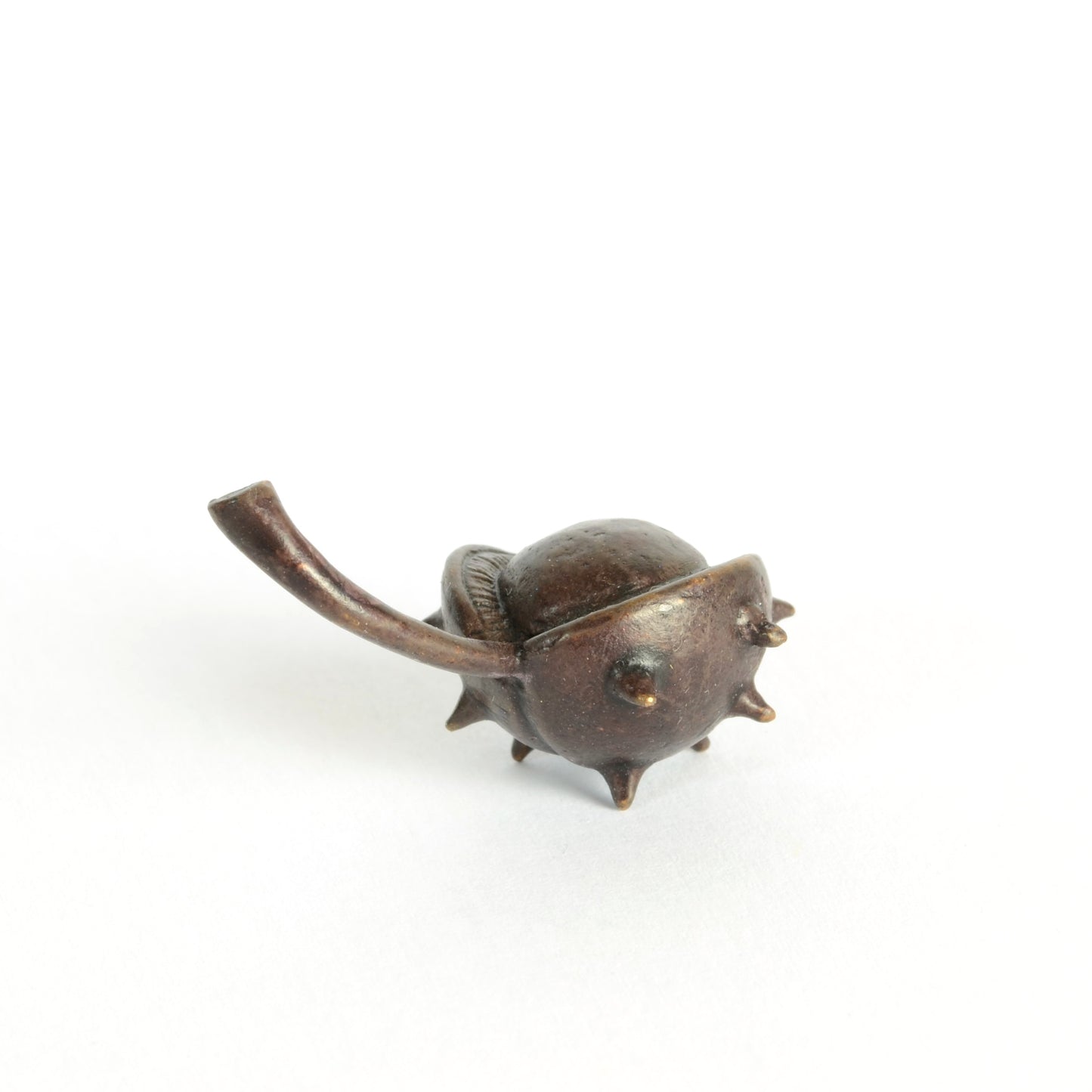 Conker in Shell Bronze Sculpture