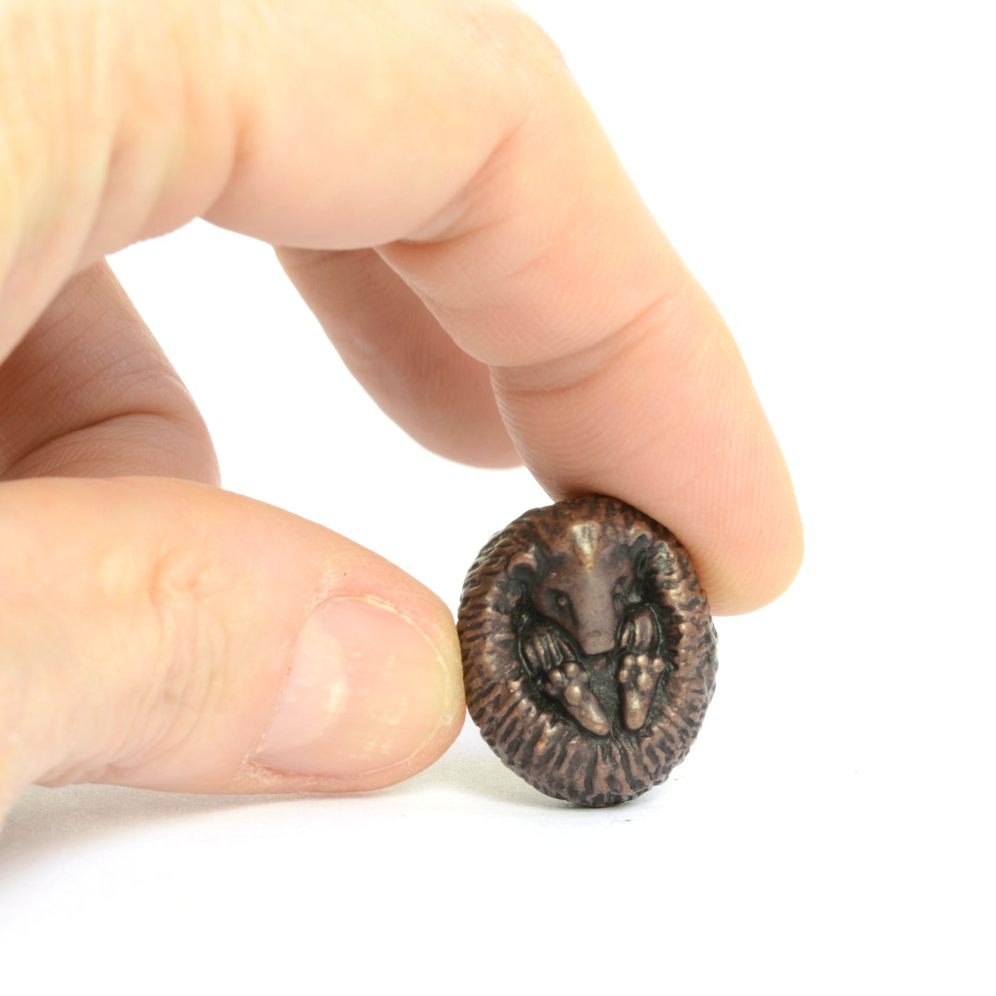 Hedgehog