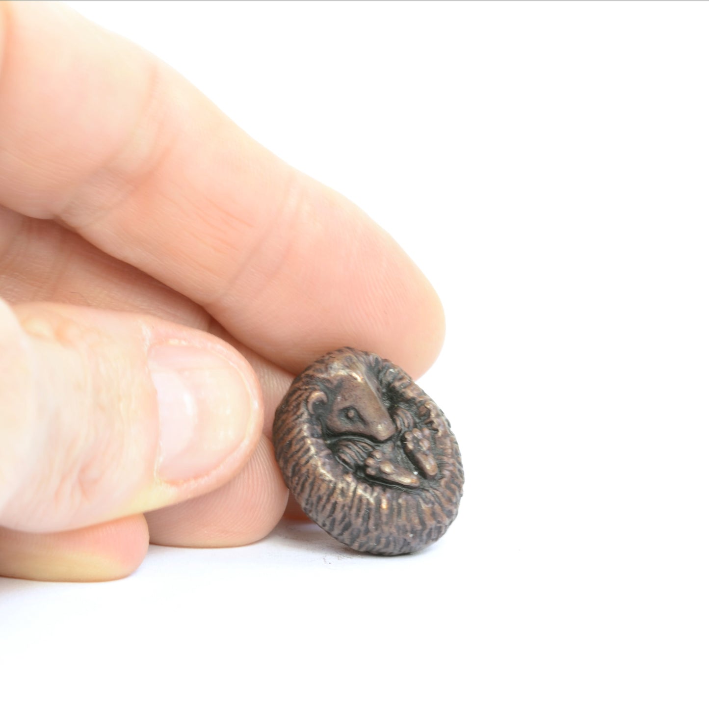 Hedgehog
