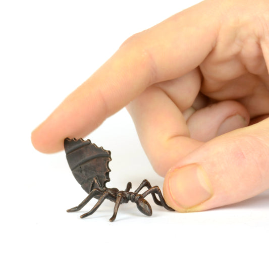 Leaf Cutter Ant