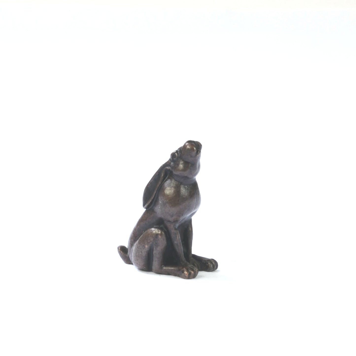 Moongazing Hare