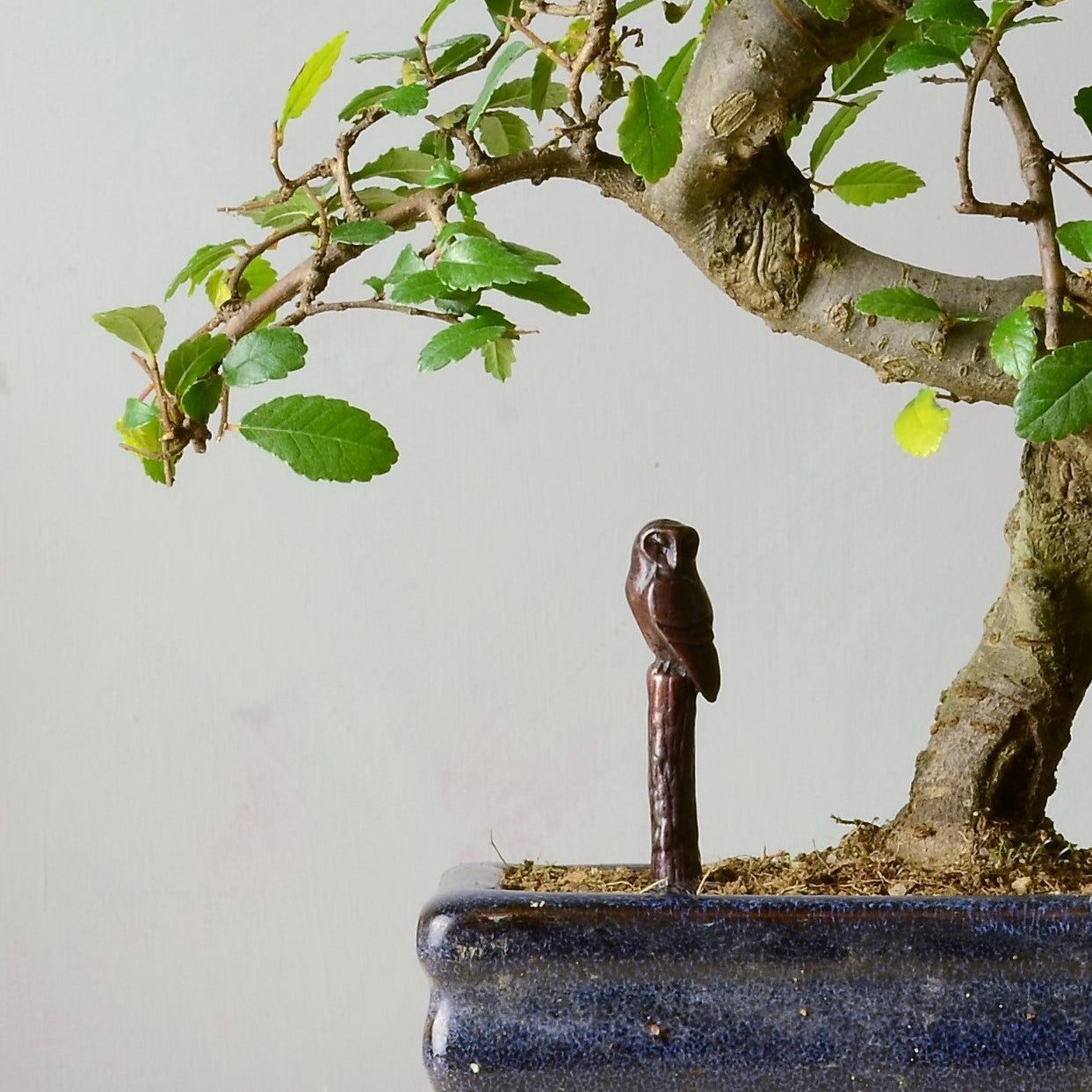 Perching Barn Owl Bronze Sculpture