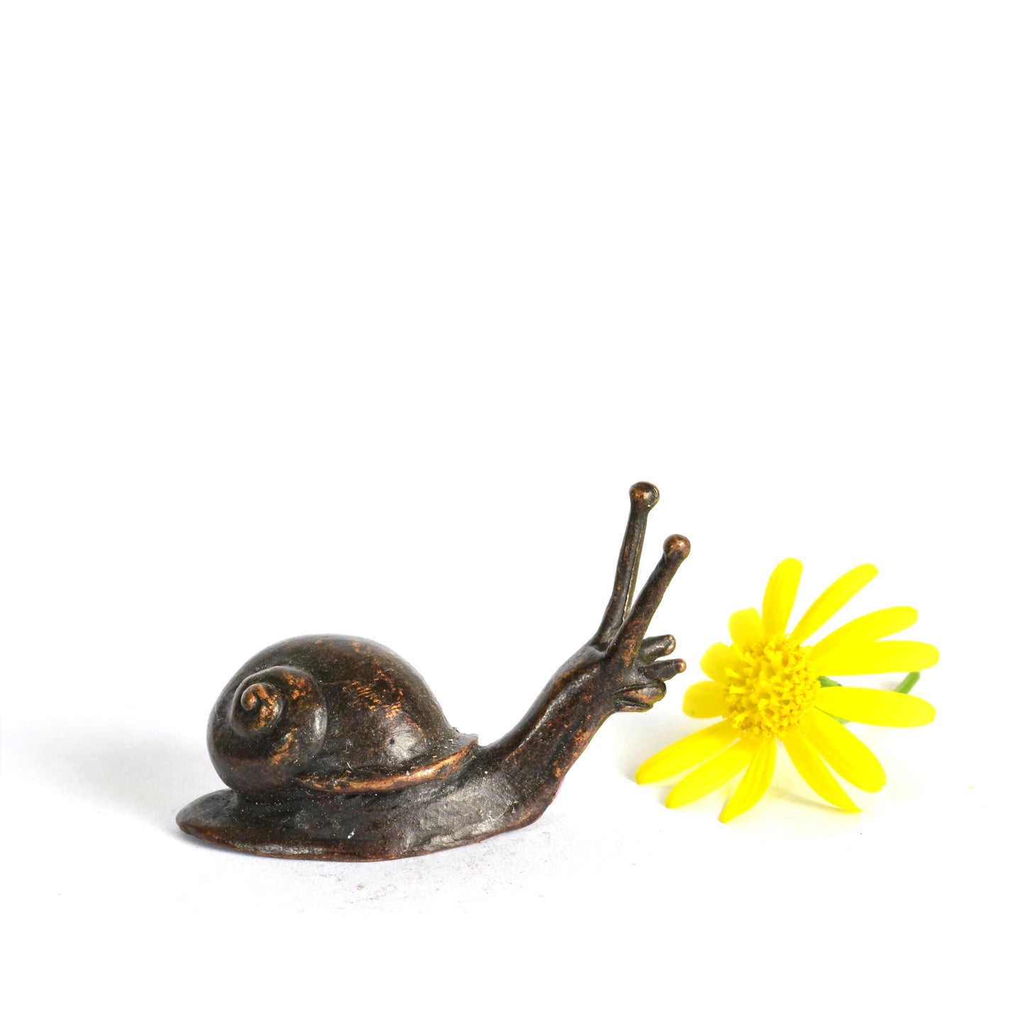 Baby Snail Sculpture