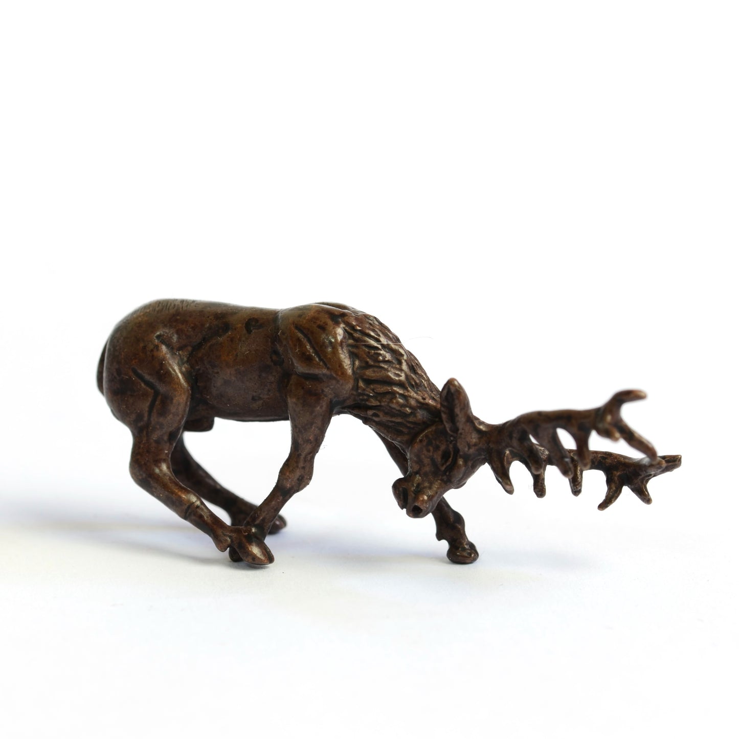 Rutting Stag