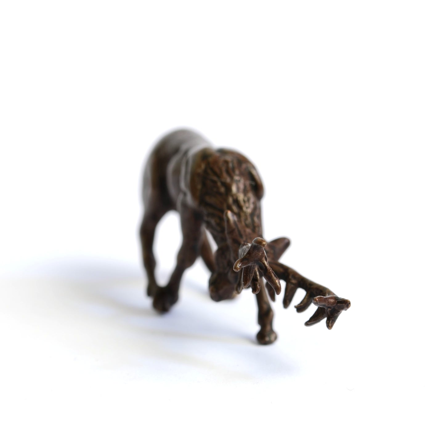Rutting Stag