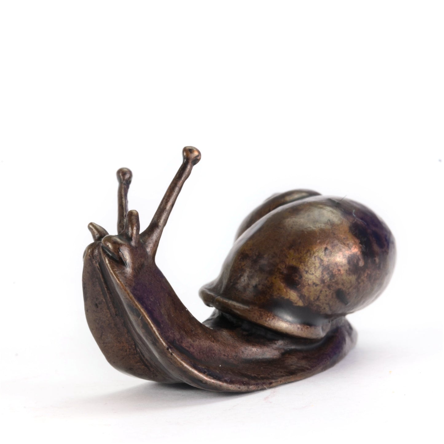 Big Snail Sculpture