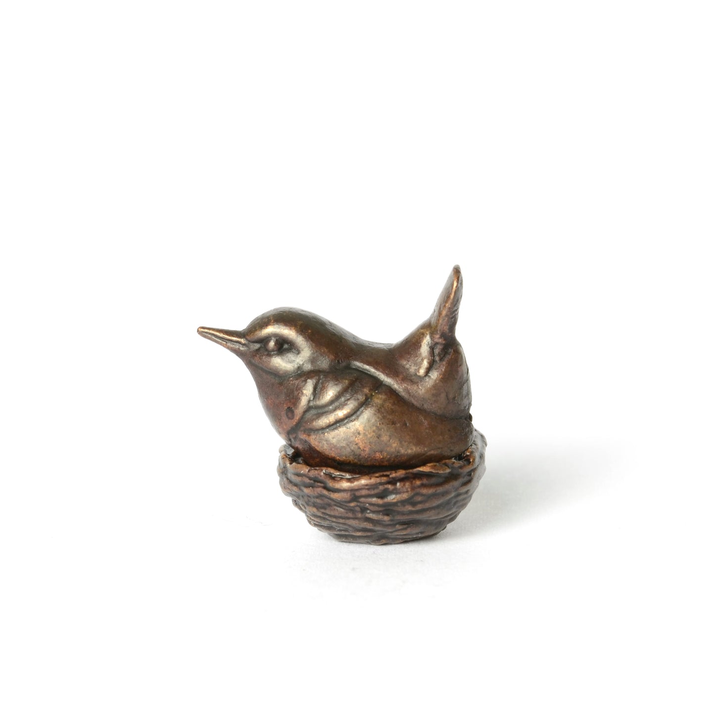 Wren in Nest
