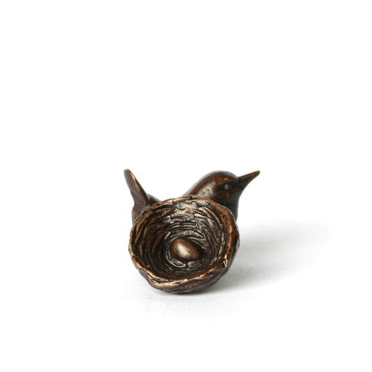 Wren in Nest