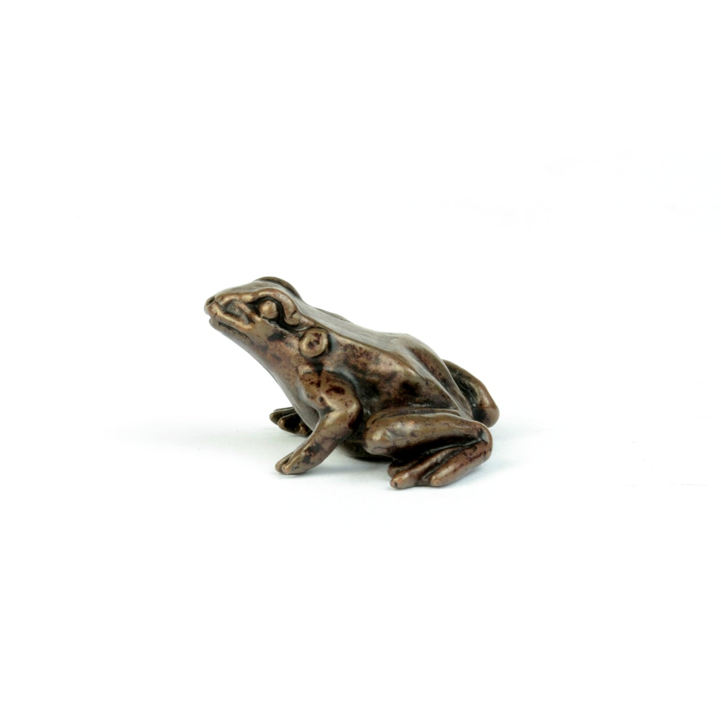 Little Frog
