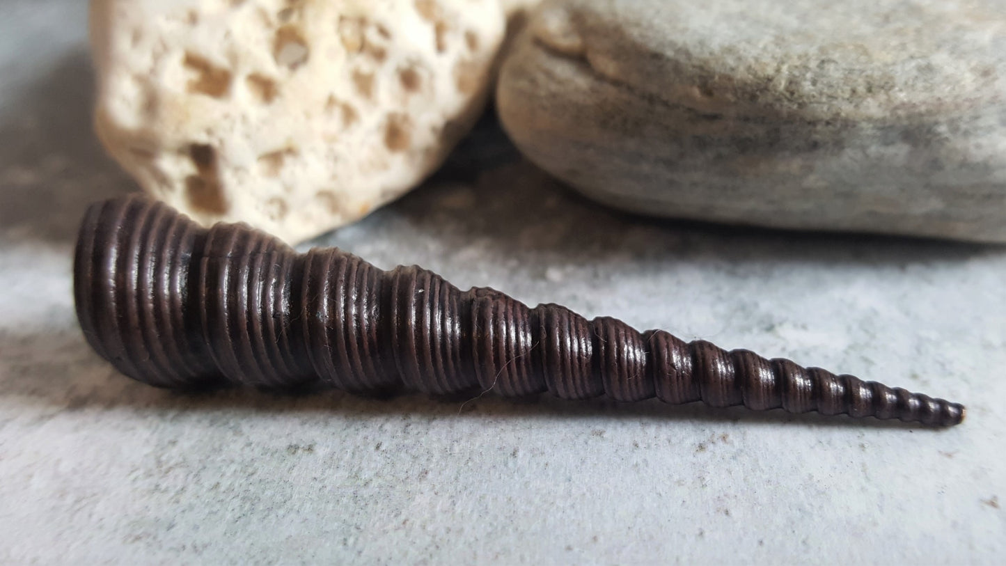 Cone Shell Bronze Sculpture