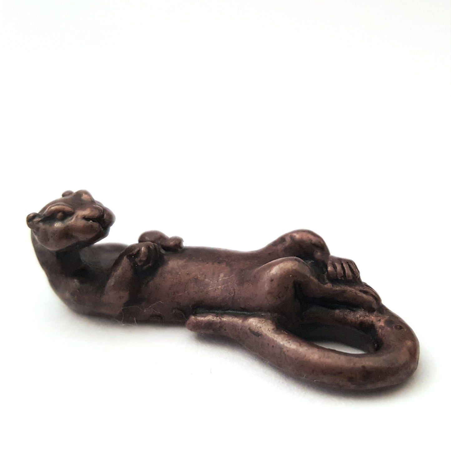 Otter Swimming on Back