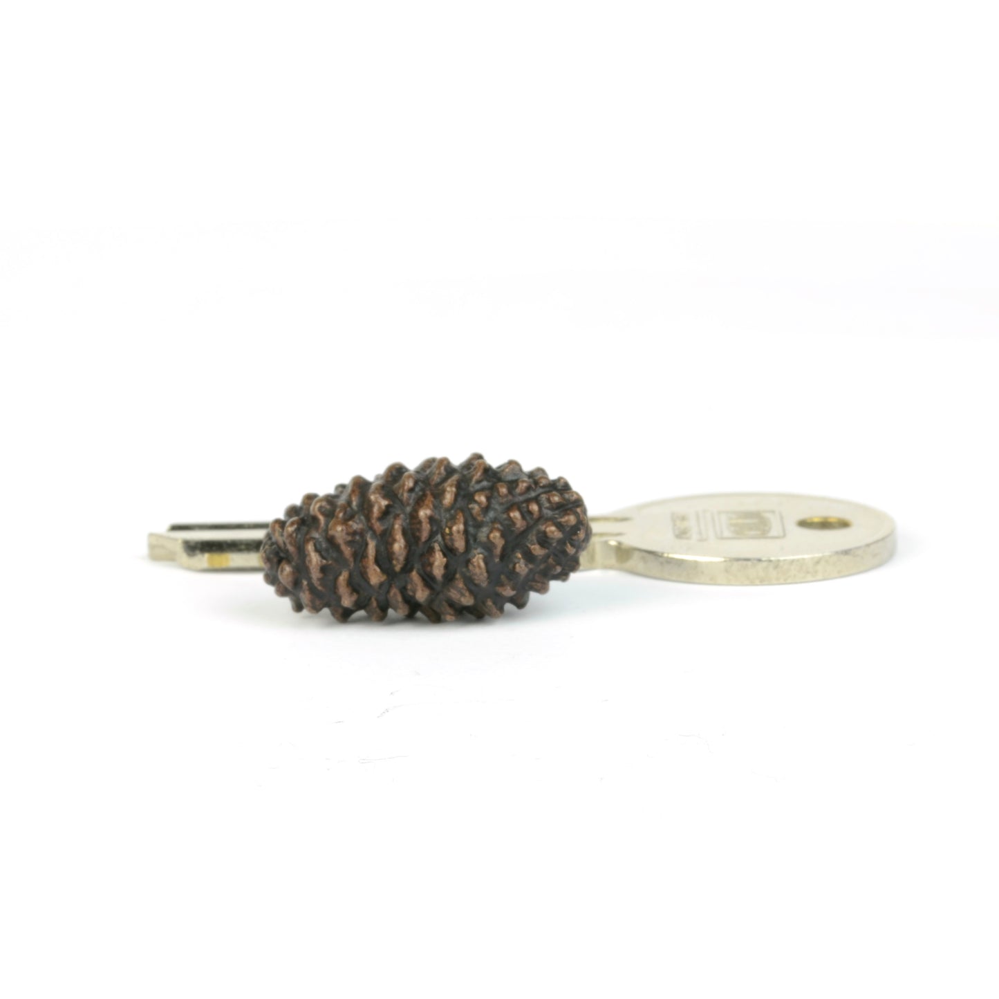 Pine Cone