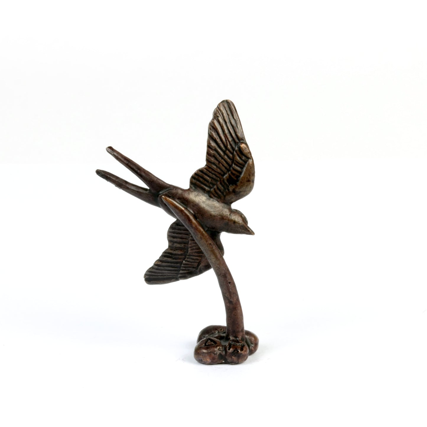 Swallow