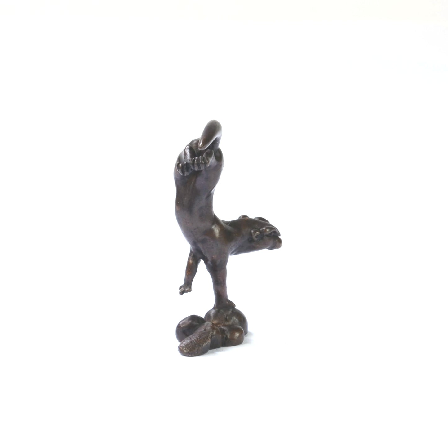 Diving Otter
