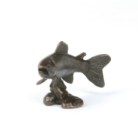 Swimming Salmon