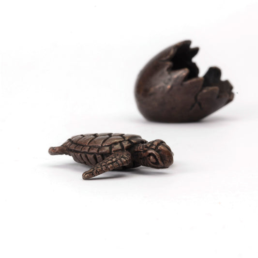 Turtle in Egg Shell